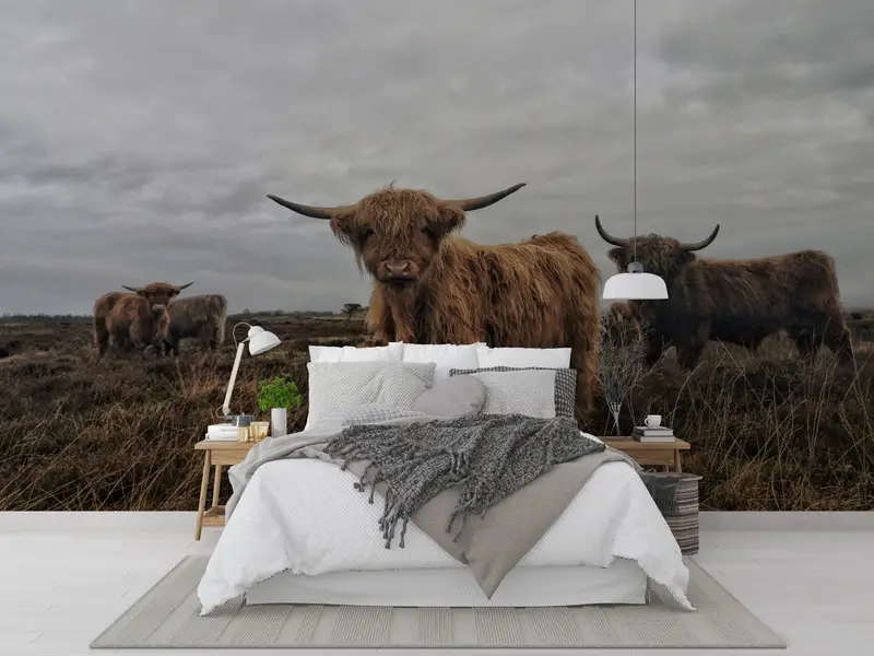 Highland Cow, Cow Wall Poster, Highland Cow Wallpaper, Cattle Wallpaper, Animal Wall Decor, Buffalo Wall Art, Horned Bull Wall Painting, - 7