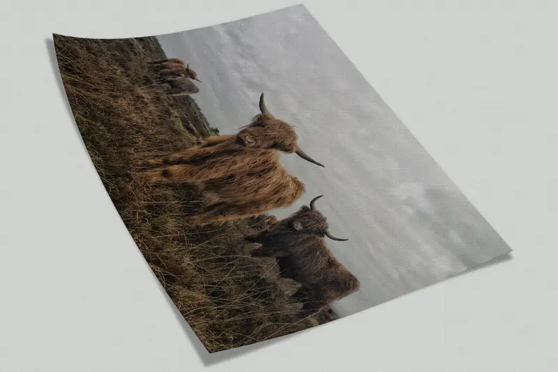 Highland Cow, Cow Wall Poster, Highland Cow Wallpaper, Cattle Wallpaper, Animal Wall Decor, Buffalo Wall Art, Horned Bull Wall Painting, - 8