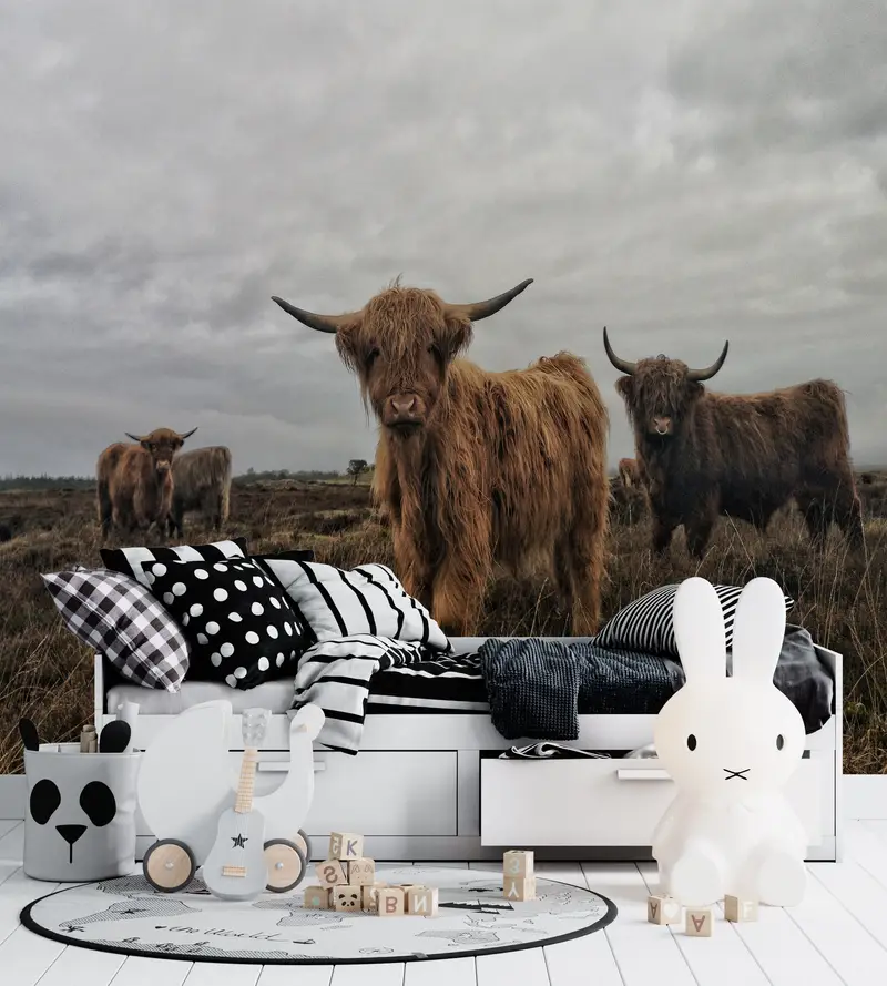 Highland Cow, Cow Wall Poster, Highland Cow Wallpaper, Cattle Wallpaper, Animal Wall Decor, Buffalo Wall Art, Horned Bull Wall Painting, - 6