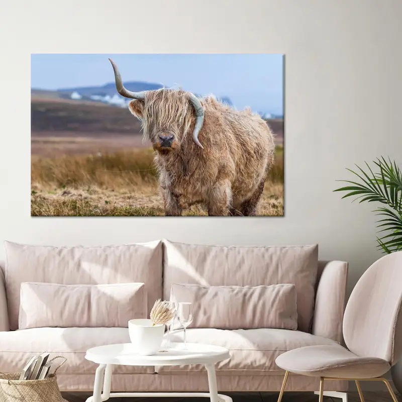 エレガントなハイランドカウキャンバス:沿岸農家アートプリント