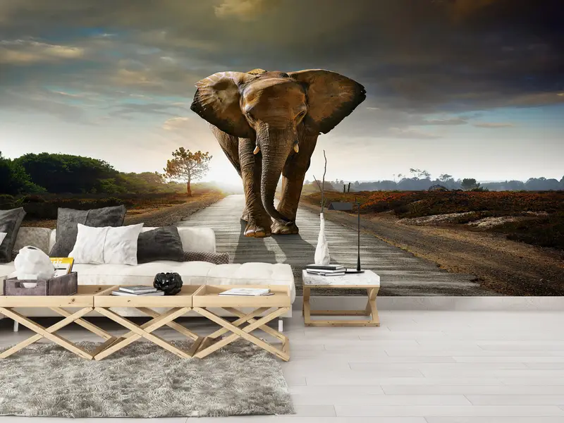 Paper Wall Art ,3d Wall Paper,Bright Wall Paper,Elephant Walking On The Road Wall Mural,Wild Mural,Elephant Wall Painting, - 5