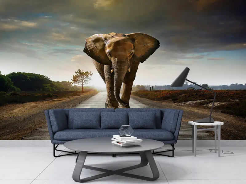 Paper Wall Art ,3d Wall Paper,Bright Wall Paper,Elephant Walking On The Road Wall Mural,Wild Mural,Elephant Wall Painting, - 2