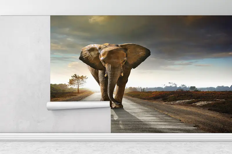 Paper Wall Art ,3d Wall Paper,Bright Wall Paper,Elephant Walking On The Road Wall Mural,Wild Mural,Elephant Wall Painting, - 1