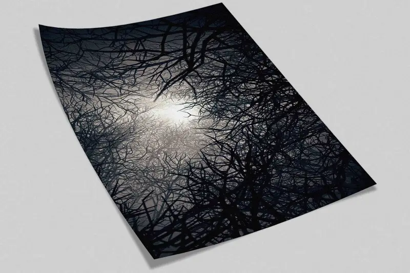 Wall Art, Night Landscape Wallpaper, Wallpaper By The Yard, View Wallpaper, Layered Paper Art, Moonlight Wall Mural, - 5