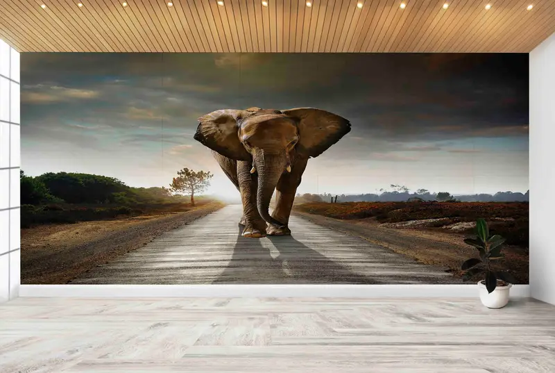Elegant Printed Wallpaper: Majestic Elephants in Wild Nature