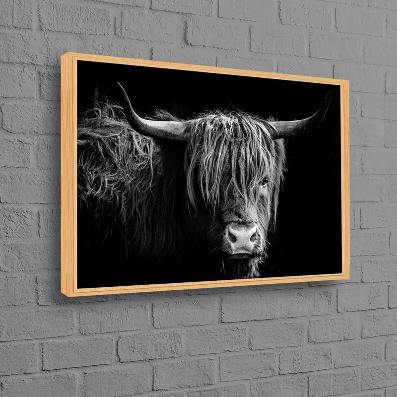 Majestic Highland Cow Canvas: Wild Nature Art Print