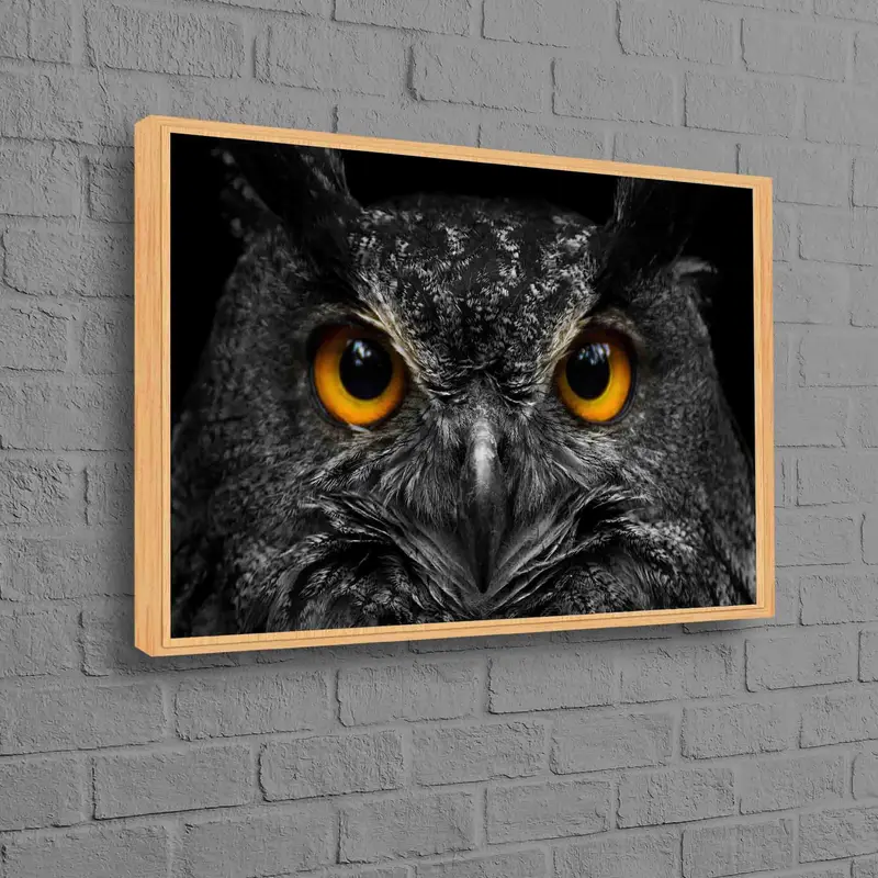 Impresión en lienzo elegante en blanco y negro con ojos de búho para decoración tipo loft