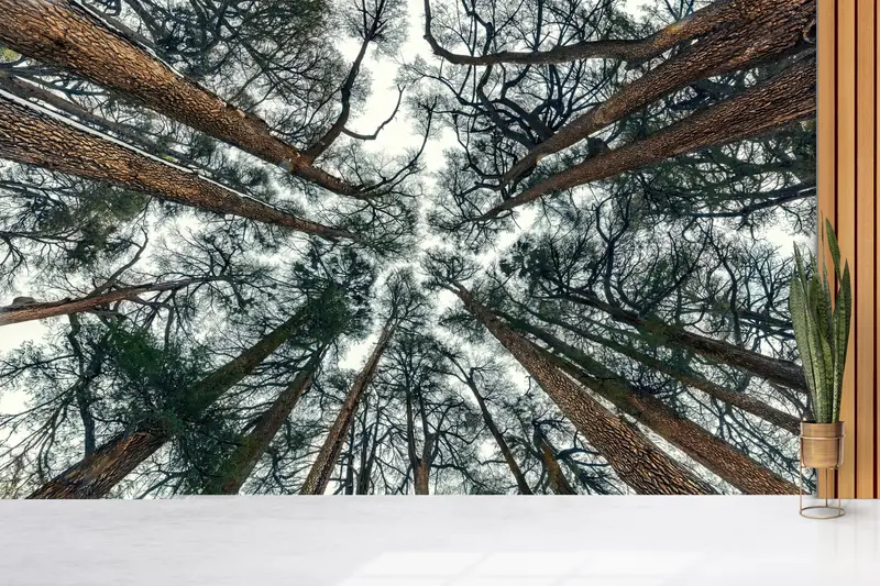 Baskılı Çiftlik Evi Orman Manzaralı Duvar Kağıdı: Zarif Orman Dekoru