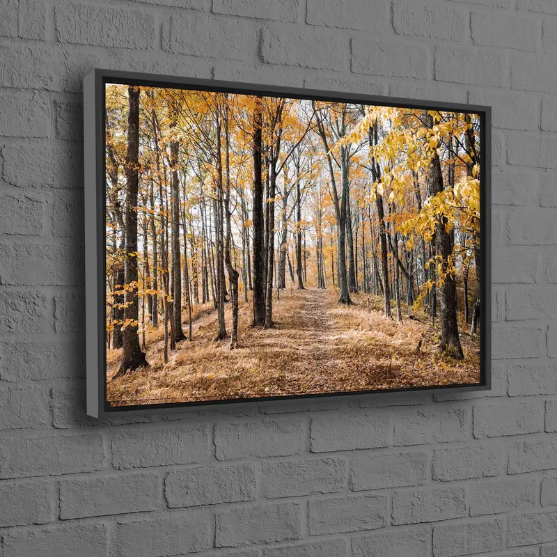 Sonbahar Ormanı Kanvası: Canlı Yapraklar, Görkemli Ağaçlar Baskı