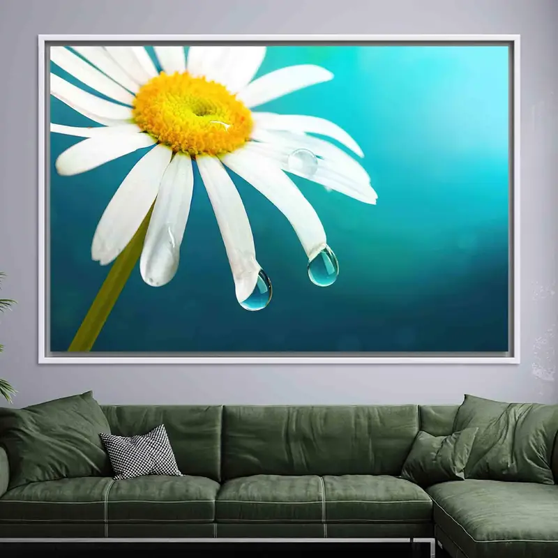 Elegante Gänseblümchen-Liebhaber-Leinwand: Kunstdruck mit weißen Blumen