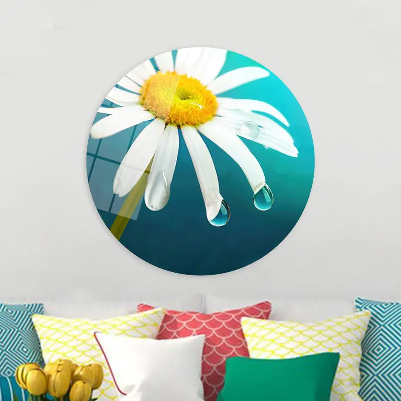 Elegant Daisy Canvas Print: Nature's Beauty in Your Home