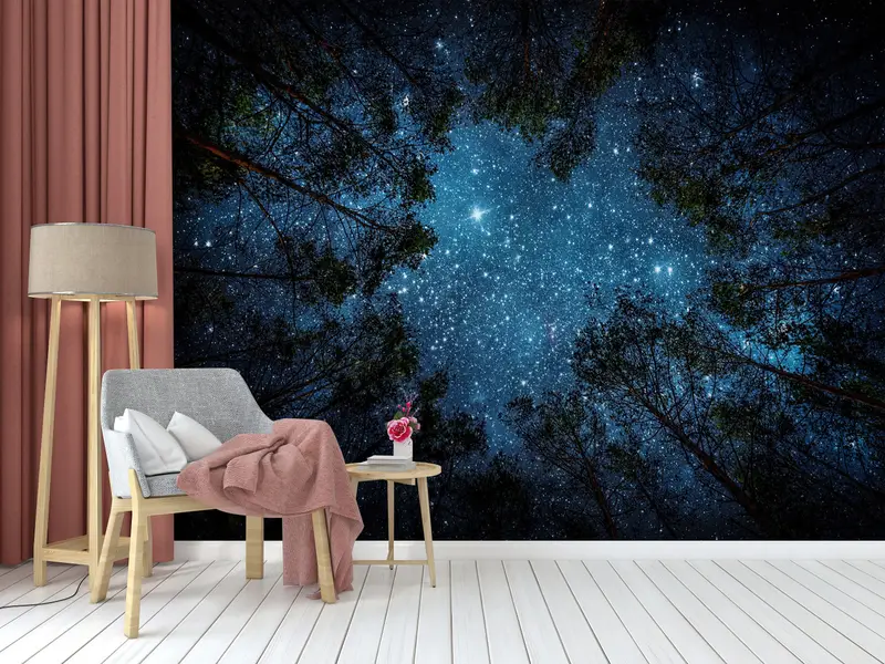 Elegante bedruckte Tapete: Nachthimmel-Waldlandschaftsansicht