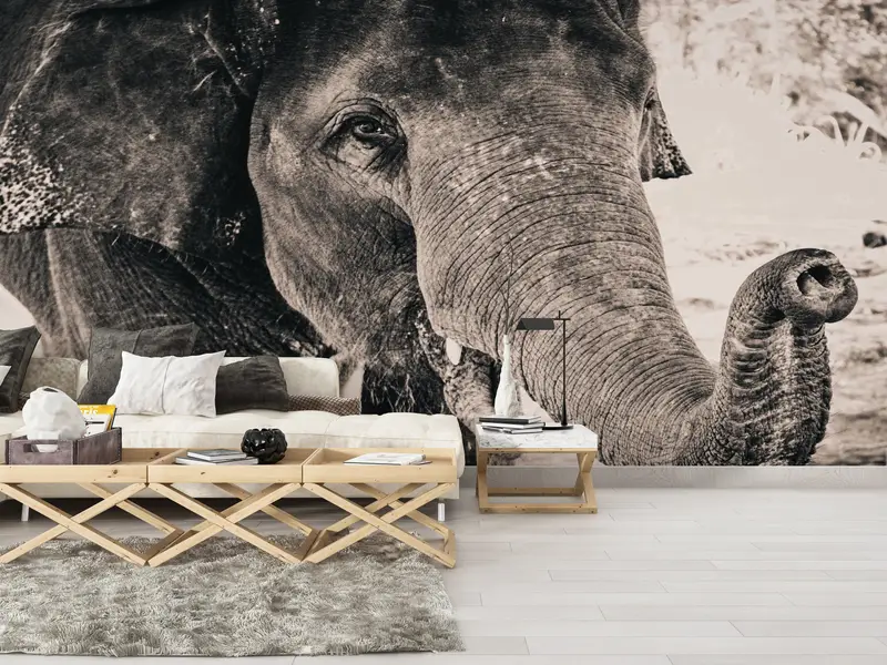 3D -Mallpapier, Tierbild, Elefantenfoto Druck, Tapepapierschale und Stock, helles Wandpapier, Elefantenfoto Wanddekoration, - 1