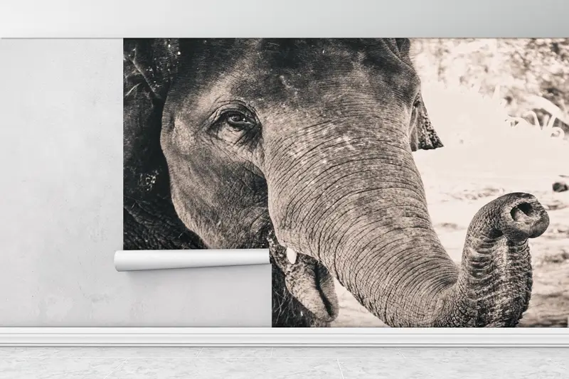 3D -Mallpapier, Tierbild, Elefantenfoto Druck, Tapepapierschale und Stock, helles Wandpapier, Elefantenfoto Wanddekoration, - 3