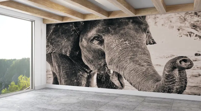 3D -Mallpapier, Tierbild, Elefantenfoto Druck, Tapepapierschale und Stock, helles Wandpapier, Elefantenfoto Wanddekoration, - 4