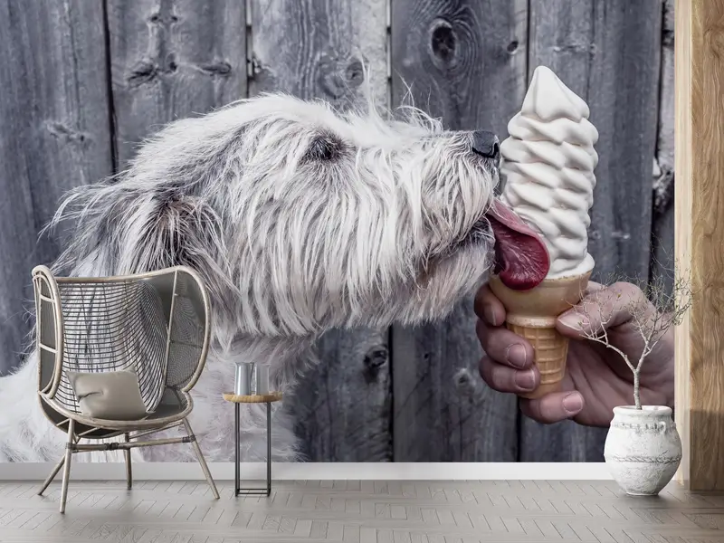 Basılı Duvar Kağıdı: Sevimli Köpek Severlerin Rüyası Ev Dekorasyonu