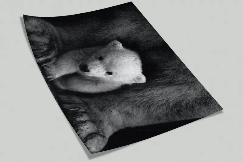 Baby Polar Bear, Polar Bear Mural, Loft Wallpaper, Bear Wall Art, Animal Wild Wall Decor, Animal Wall Decor, Wild Nature Wall Painting, - 7