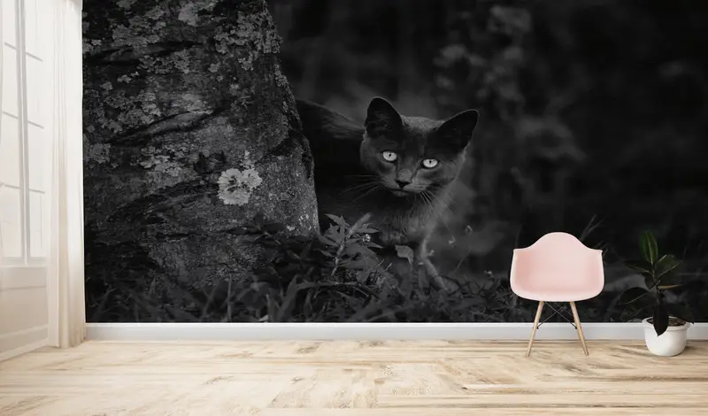 Elegante schwarze Tapete mit Naturlandschaftsdruck für Katzenliebhaber