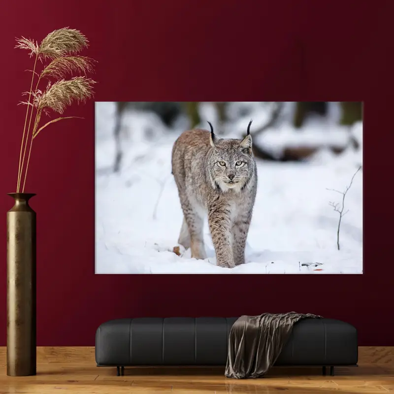 Wilde Winterwolf-Katze-Leinwand: Elegante gedruckte Kunst für Zuhause
