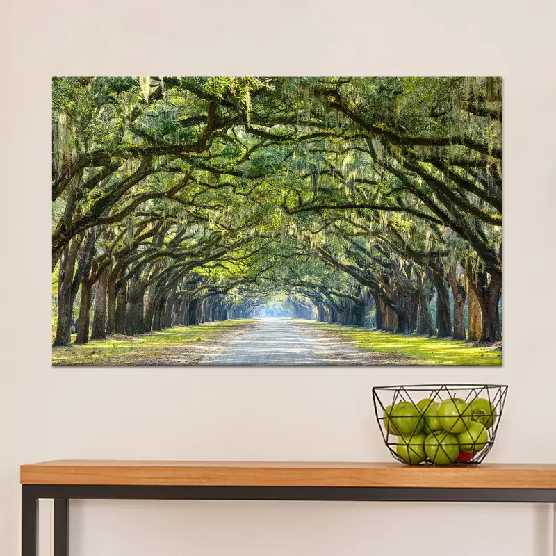 Çarpıcı Çizgi Meşe Ağaçları Savannah Seyahat Baskılı Kanvas