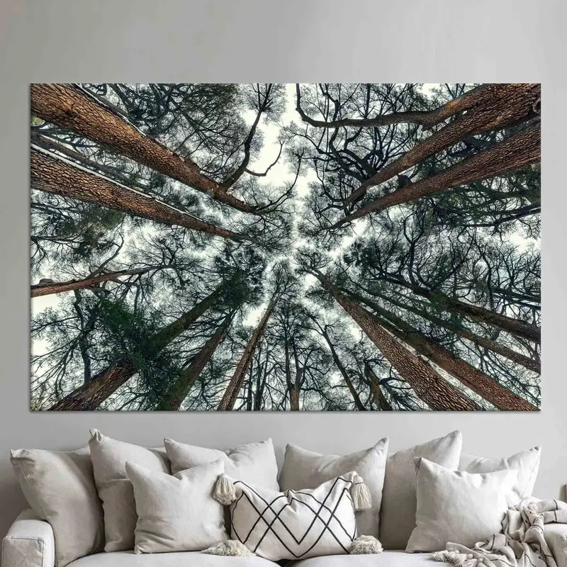 Eleganter Bauernhaus-Leinwanddruck mit Waldblick – Nature's Serenity