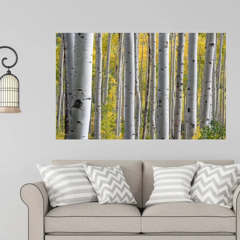 Elegant Birch Grove Printed Glass - Modern Farmhouse Decor