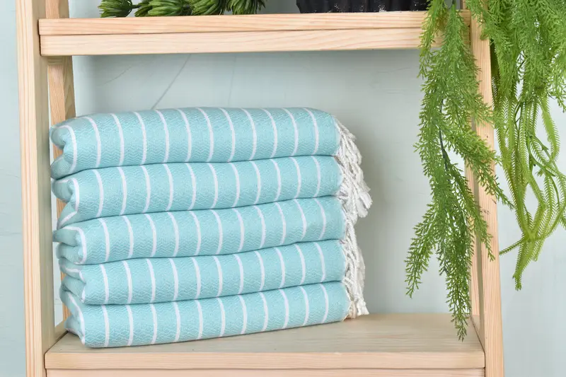 Striped Towel Mint Cotton, Beach Towel, 40x71 Inches