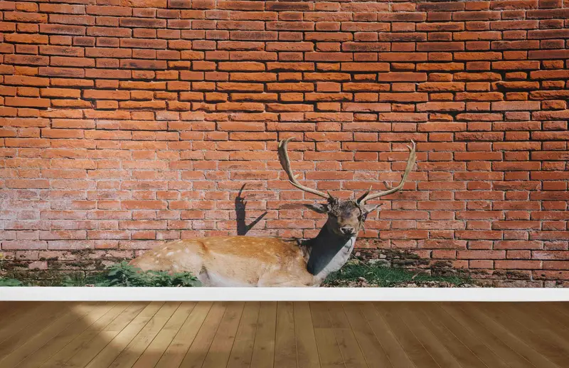 Elegant Wildlife Wallpaper: Printed Deer Photo for Nature Lovers