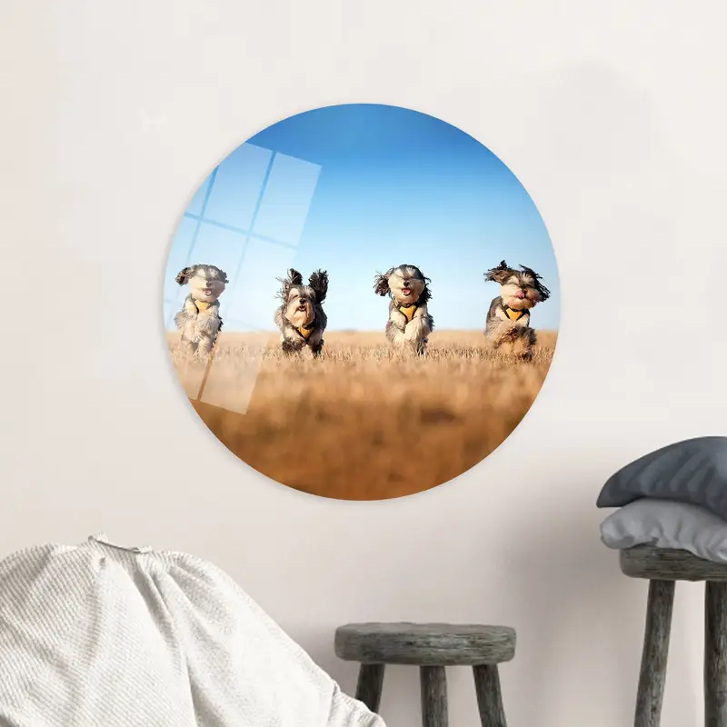 Elegant Four Cute Dogs Canvas: Lovely Dog Lover Gift