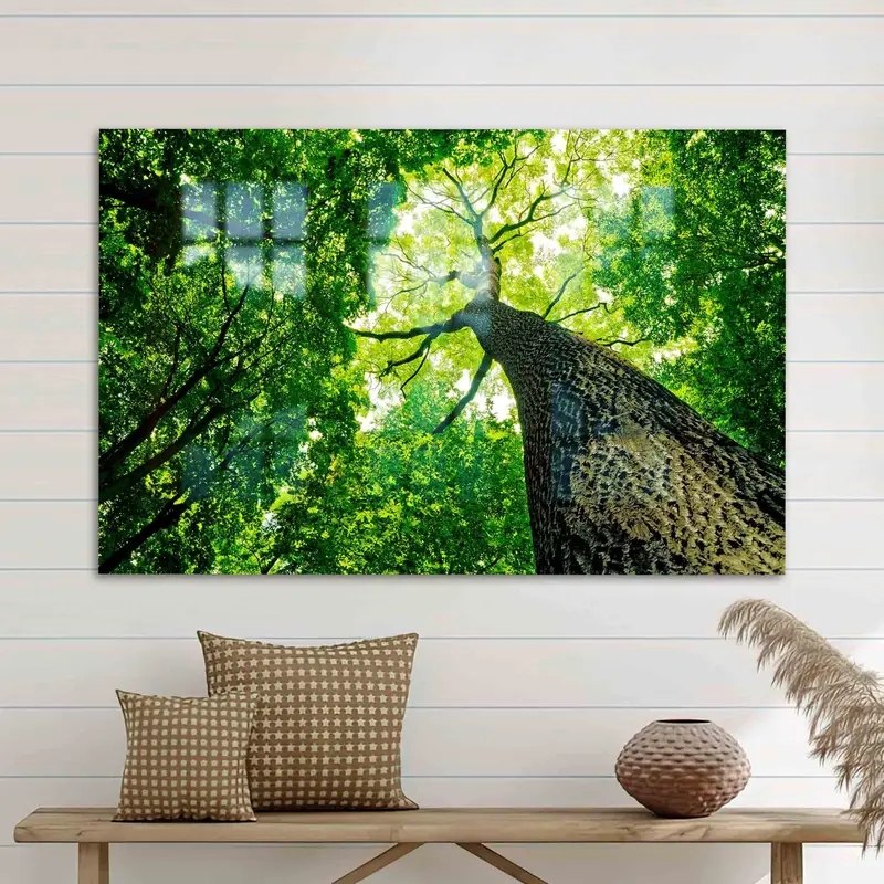 エレガントなプリントガラス：緑の木の森の景観デザイン