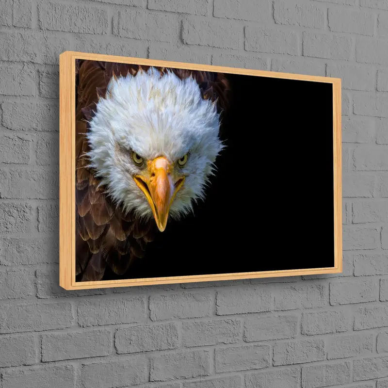 エレガントなイーグル キャンバス プリント: トレンディな男の洞窟のロフト装飾