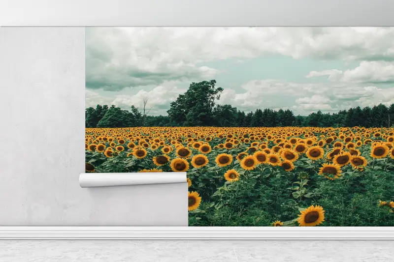 Sunflower Field Landscape Wall Stickers, View Wall Paper, Kitchen Wallpaper, Field Landscape Wallpaper, Stick On Wallpaper Art Deco, - 1