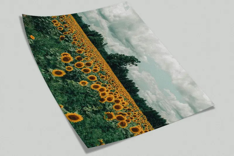 Sunflower Field Landscape Wall Stickers, View Wall Paper, Kitchen Wallpaper, Field Landscape Wallpaper, Stick On Wallpaper Art Deco, - 9