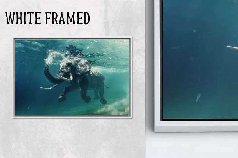 Moderno lienzo de elefante nadando bajo el agua para habitación y oficina de niños