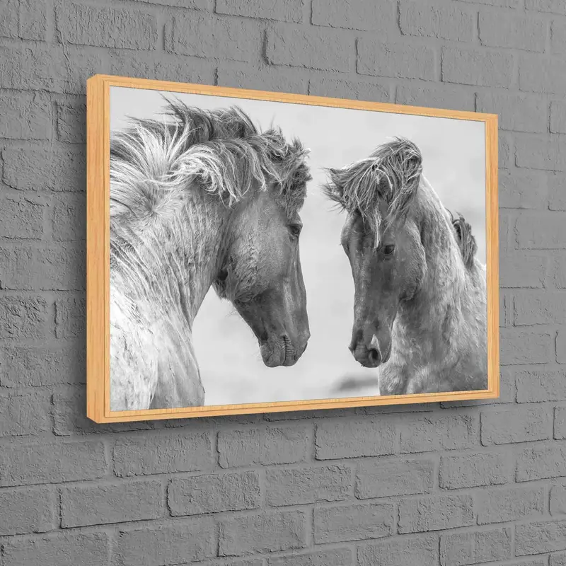 トレンディな農家の馬のキャンバス: 馬愛好家のためのエレガントな装飾