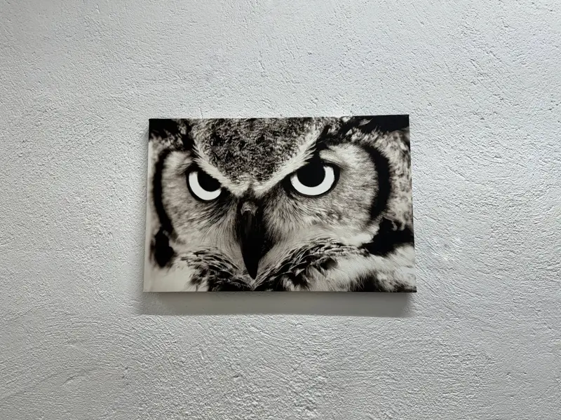 Zarif Baykuş Sevgilisi Loft ve Ofis için Siyah Beyaz Kanvas