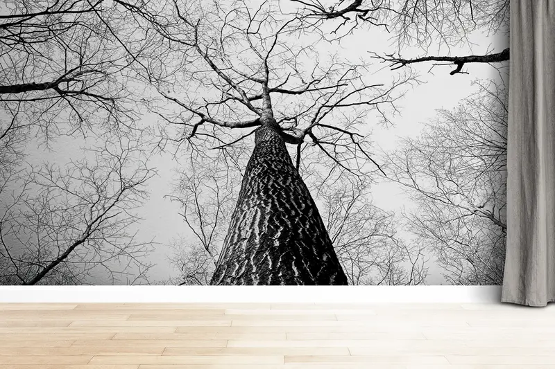 Elegante, schwarz-weiße, bedruckte Tapete mit Waldblick