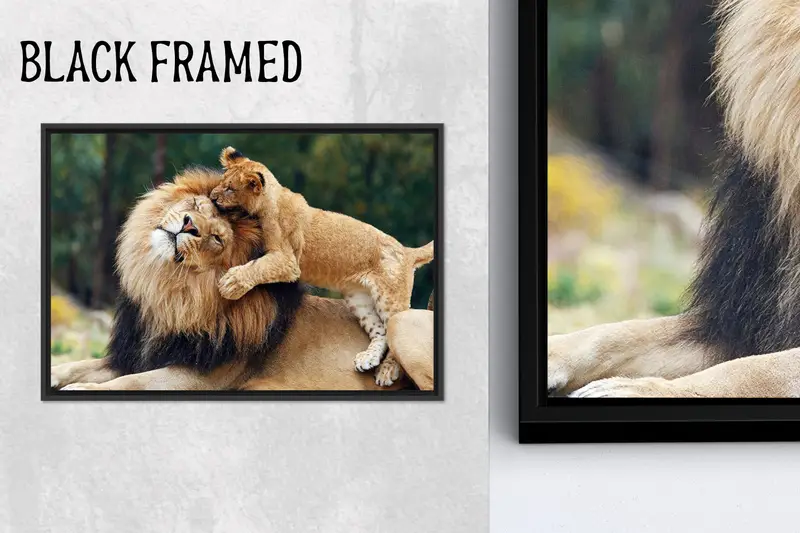 Yaban Hayatı Kanvası: Doğanın Kucağındaki Görkemli Çiftlik Hayvanları