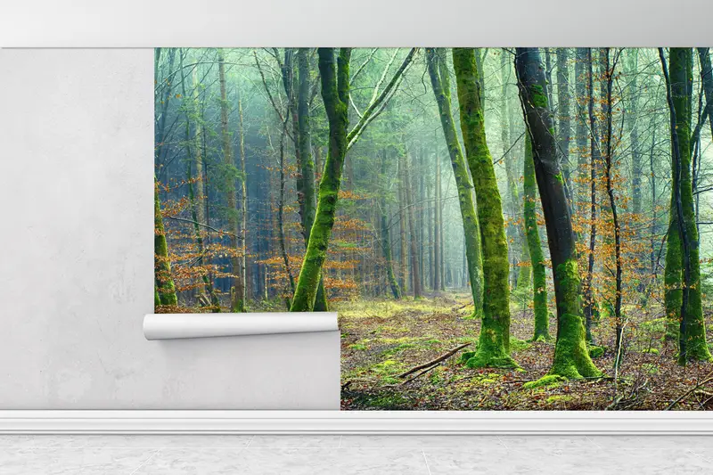 Landscape Wallpaper, Trees Wall Art, Forest Wall Poster, Jungle Wall Painting, Forest Landscape Wall Mural, Nature Wall Paper, - 1