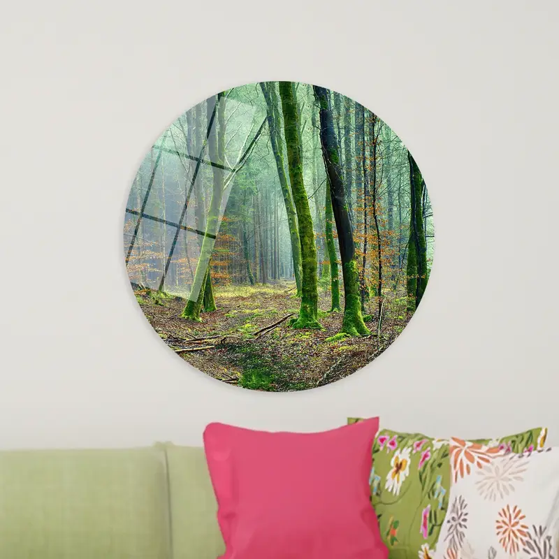 Enchanting Forest Landscape Printed Canvas - Nature's Serenity