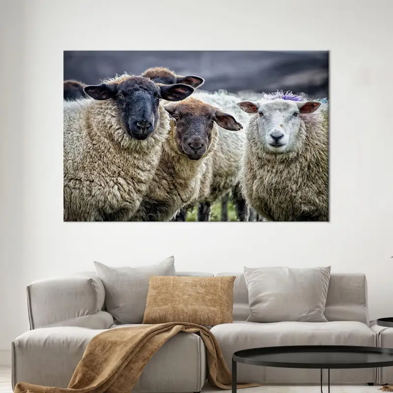 Elegant Coastal Farmhouse Canvas: Cute Sheep in Loft Setting