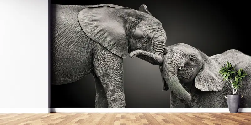 Bright Wall Paper,Wall Paper Peel and Stick,Modern Wall Paper,Lovely Elephant Mural,Animal Wall Poster,Gray Wall Art,Wild Mural, - 3