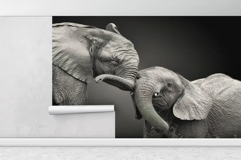 Bright Wall Paper,Wall Paper Peel and Stick,Modern Wall Paper,Lovely Elephant Mural,Animal Wall Poster,Gray Wall Art,Wild Mural, - 1