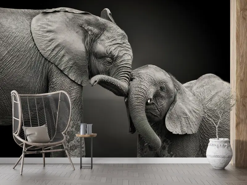 Bright Wall Paper,Wall Paper Peel and Stick,Modern Wall Paper,Lovely Elephant Mural,Animal Wall Poster,Gray Wall Art,Wild Mural, - 9