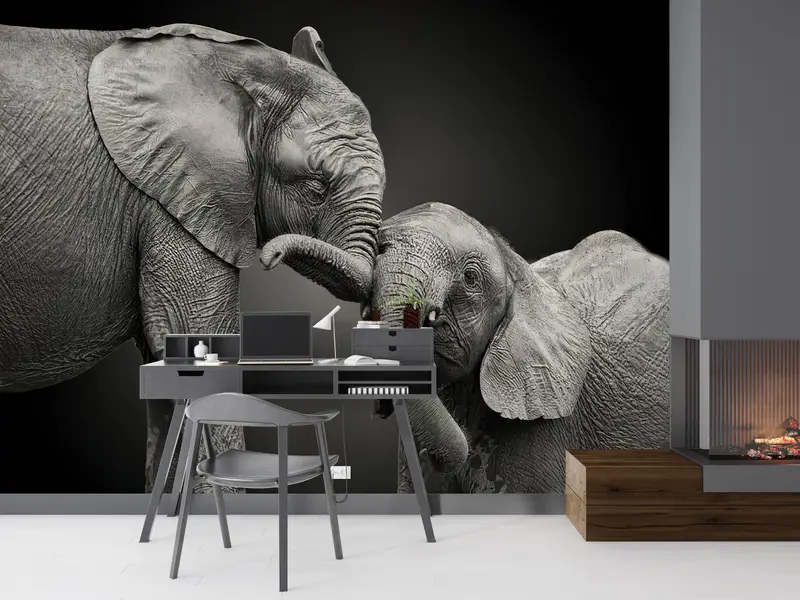 Bright Wall Paper,Wall Paper Peel and Stick,Modern Wall Paper,Lovely Elephant Mural,Animal Wall Poster,Gray Wall Art,Wild Mural, - 8