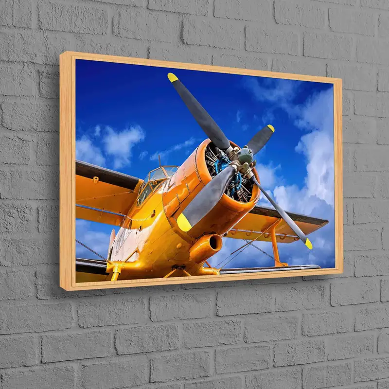 エレガントなキャンバス: 空の風景の中の歴史的な航空機