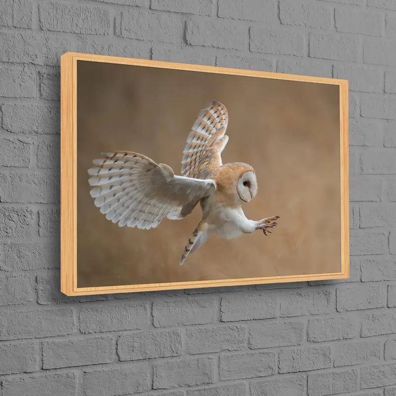 Elegant Wildlife Canvas: Majestic Owl in Loft Ambiance