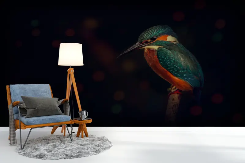 Zarif Yalıçapkını Kuş Duvar Kağıdı: Çağdaş, Renkli Baskılı Tasarım