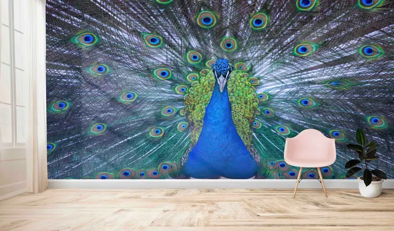 孔雀愛好家のためのモダンで豪華なクジャクブループリント壁紙