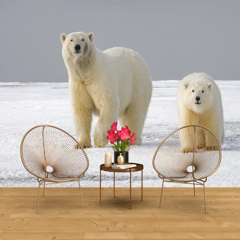 Zarif Kutup Ayısı Duvar Kağıdı: Arktik Yaban Hayatı Baskılı Dekor